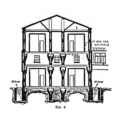 Pavlov: lab