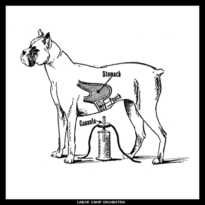Pavlov: dog
