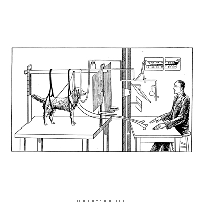 Pavlov: dog / man